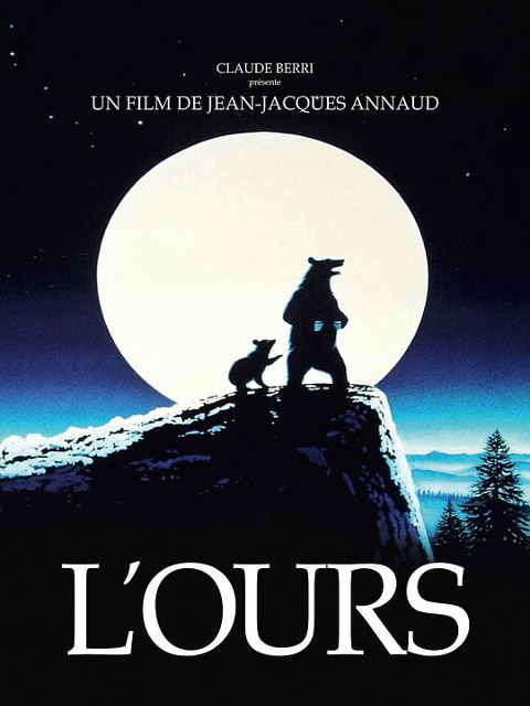 熊的故事封面图