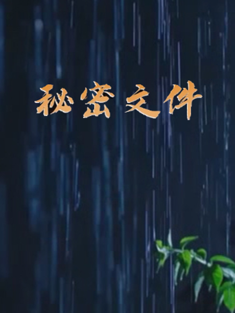 秘密文件封面图