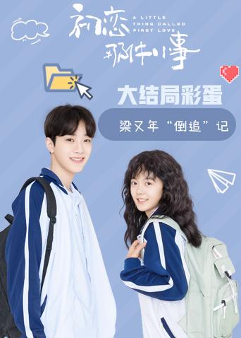初恋那件小事·梁又年倒追记封面图