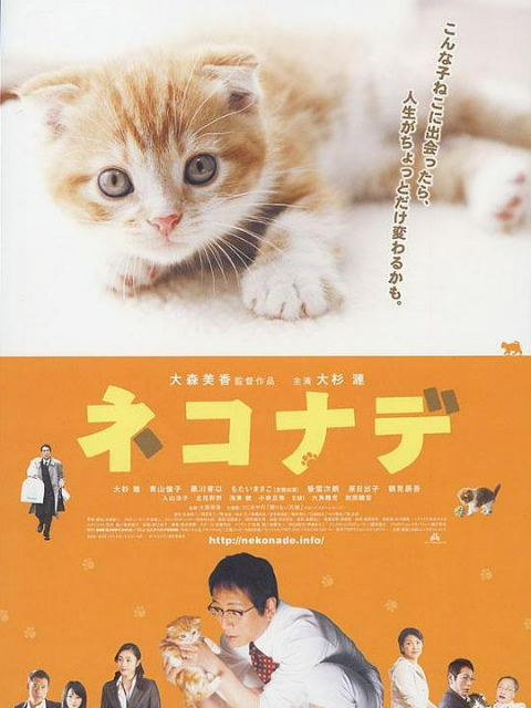 小猫奇缘封面图