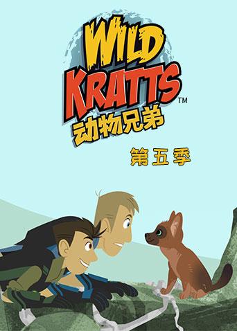 动物兄弟 第五季封面图