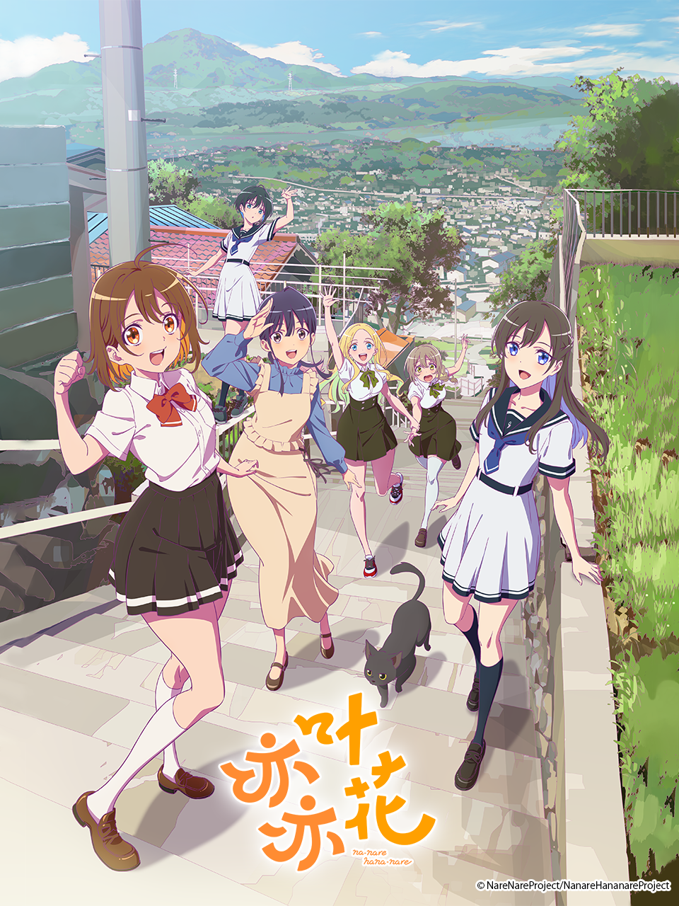 亦叶亦花封面图