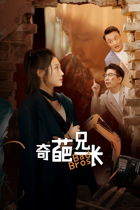 奇葩兄长封面图