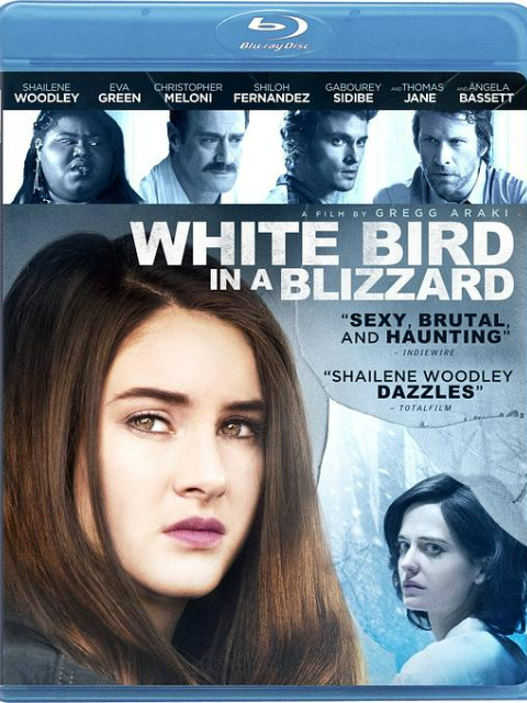 暴风雪中的白鸟封面图