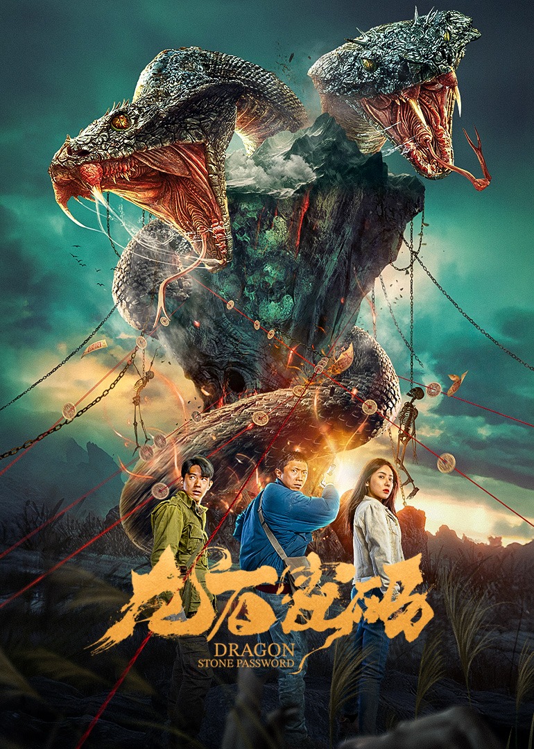 龙石密码封面图