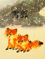 雪狐封面图
