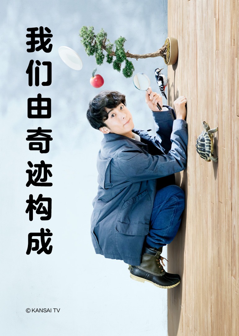 我们由奇迹构成封面图