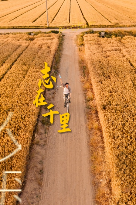 志在千里封面图