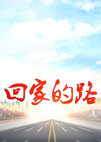 回家的路 2005封面图