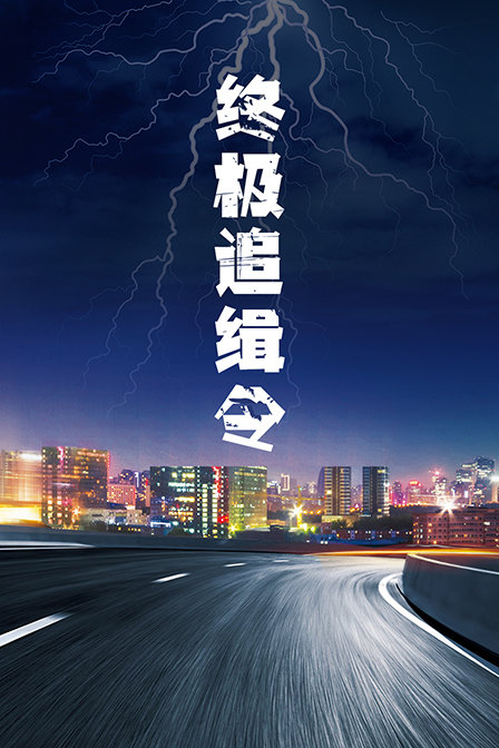 终极追缉令封面图