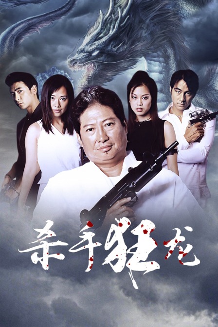 杀手狂龙封面图