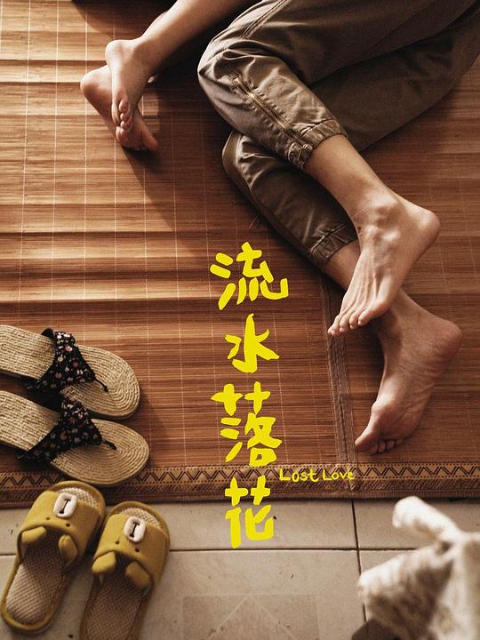 流水落花封面图