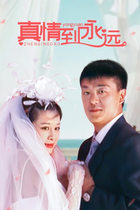 真情到永远封面图