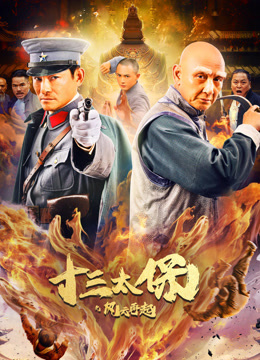 十三太保之风云再起封面图
