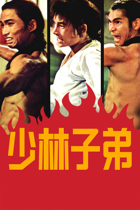 少林子弟封面图
