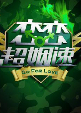 恋恋超姻速 2011封面图