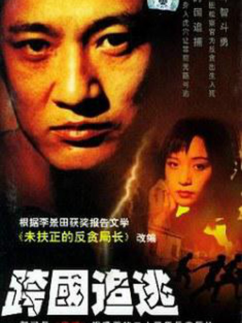 跨国追逃封面图