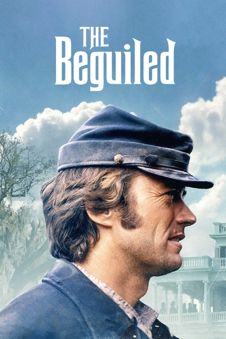 牡丹花下封面图