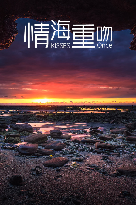 情海重吻封面图