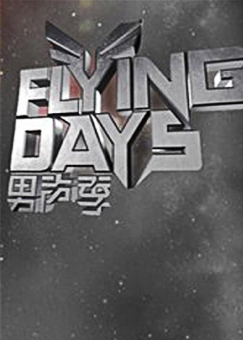 Flying Days 2010封面图