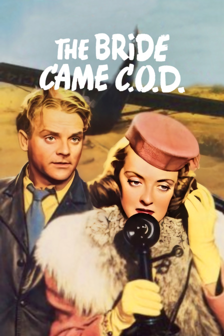 绑架新娘封面图