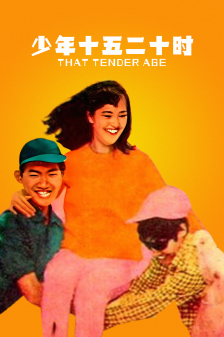 少年十五二十时封面图