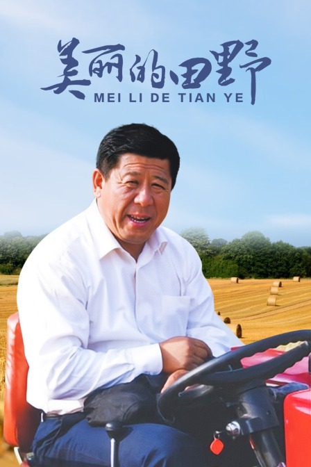 美丽的田野封面图