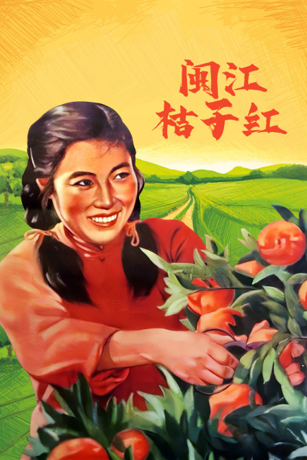 闽江桔子红封面图