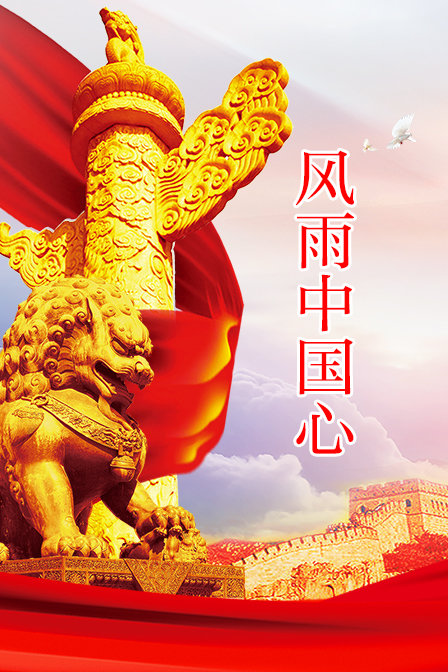 风雨中国心封面图