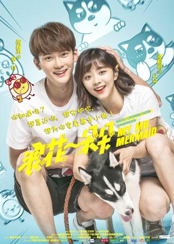 浪花一朵朵 DVD版封面图