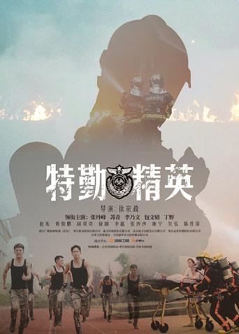 特勤精英 DVD版封面图