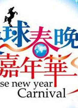 BTV环球2013春晚封面图