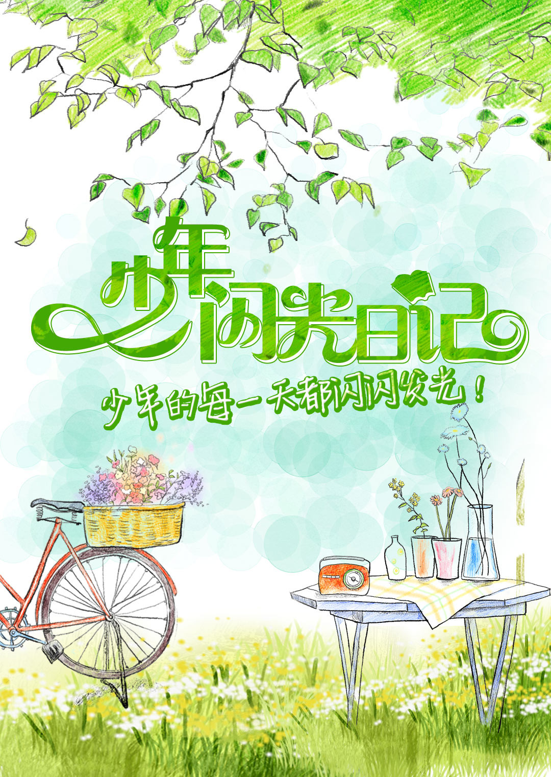 少年闪光日记封面图