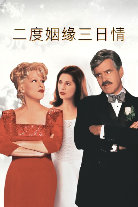 二度姻缘三日情封面图