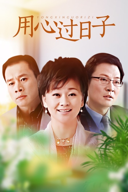 用心过日子封面图