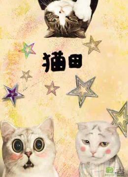 猫田封面图