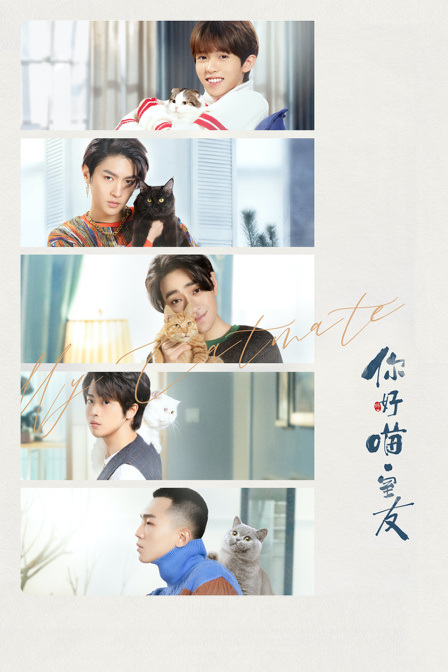 你好，喵室友封面图