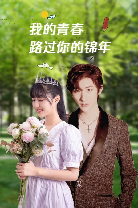 我的青春路过你的锦年封面图