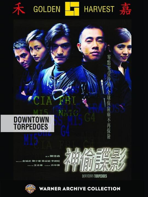 神偷谍影封面图