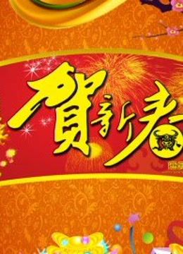 北京BTV春晚封面图