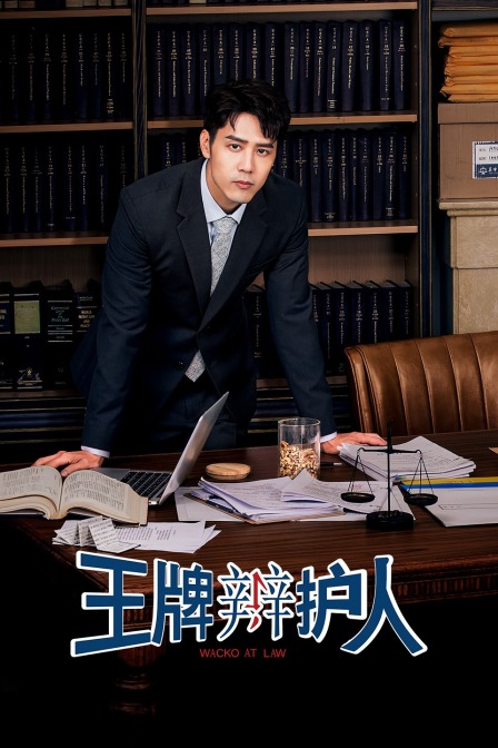 王牌辩护人封面图