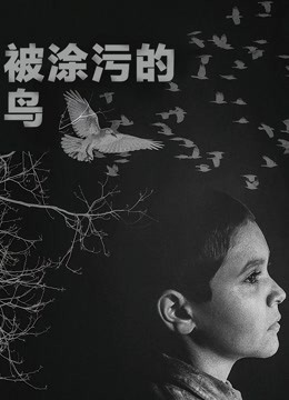 被涂污的鸟封面图