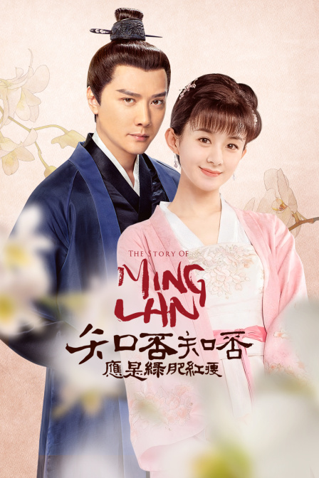 知否知否应是绿肥红瘦 DVD版封面图