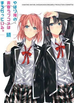 我的青春恋爱物语果然有问题 续封面图