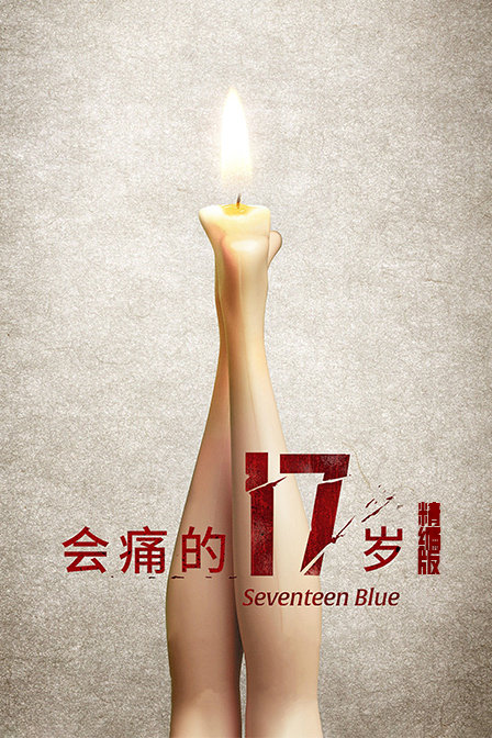 会痛的17岁 精编版封面图