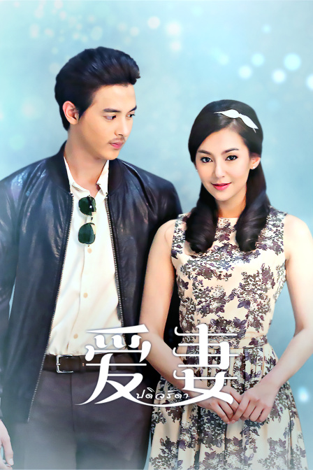 爱妻封面图