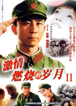 激情燃烧的岁月2封面图