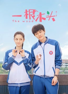 一根木头第二季封面图