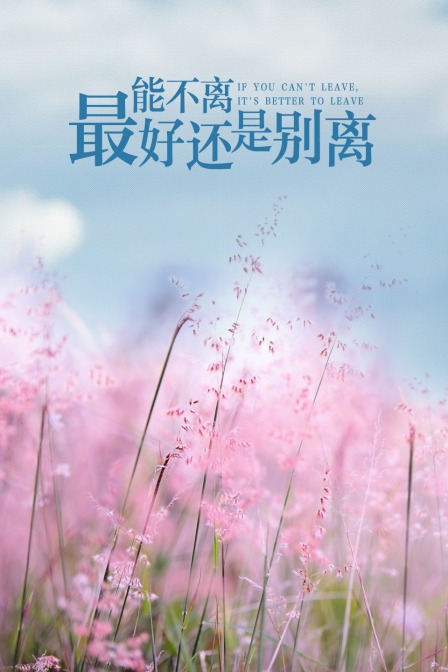 能不离，最好还是别离封面图