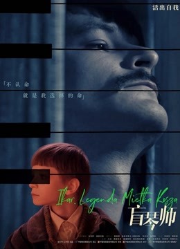 盲琴师（普通话）封面图